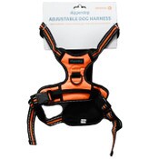 Wholesale - ORANGE VEST HARNESS C/P 10, UPC: